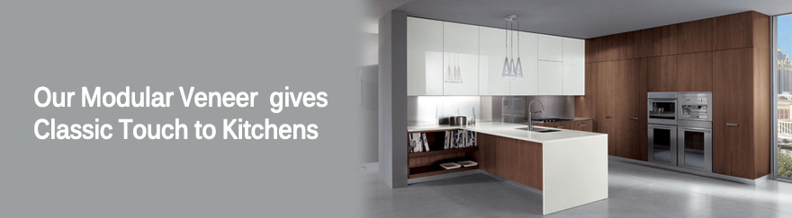 Modular Veneer